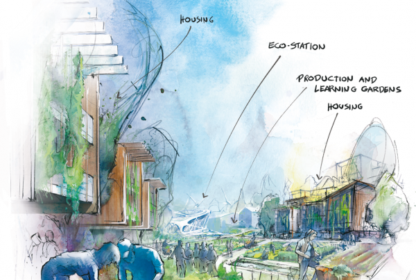 campus scetch