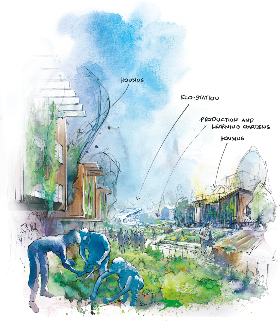 campus scetch